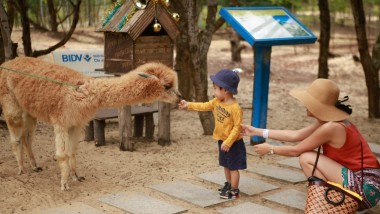Unique check-in photos at FLC Zoo Safari Park Quy Nhon – Binh Dinh 