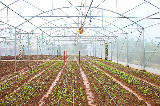Eco farm